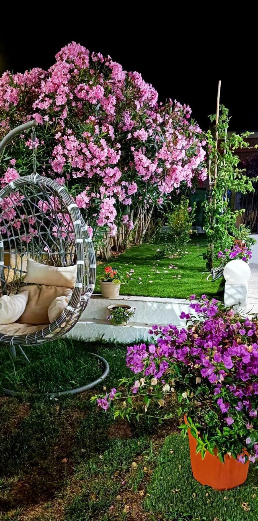La Smeralda - Boutique Rooms And Breakfast Golfo Aranci Bagian luar foto