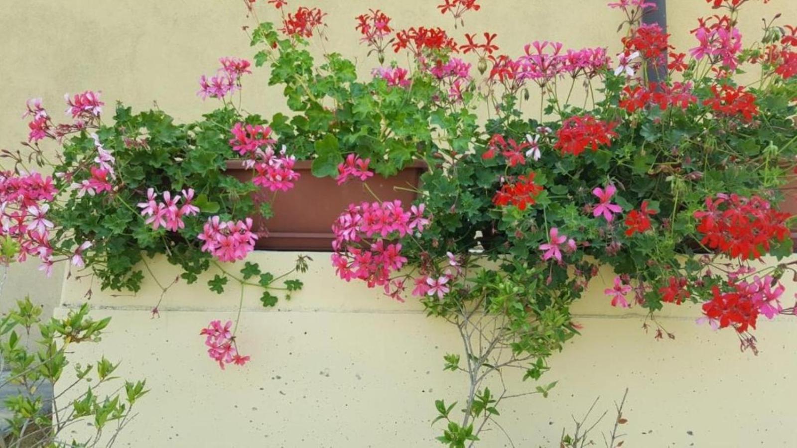 La Smeralda - Boutique Rooms And Breakfast Golfo Aranci Bagian luar foto